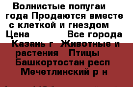 Волнистые попугаи, 2 года.Продаются вместе с клеткой и гнездом. › Цена ­ 2 800 - Все города, Казань г. Животные и растения » Птицы   . Башкортостан респ.,Мечетлинский р-н